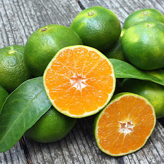 TropTable_Green-Oranges3 Senteur Orange Vert 500 ML – Image 1